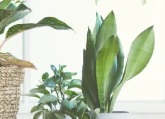 Modern dental office interior